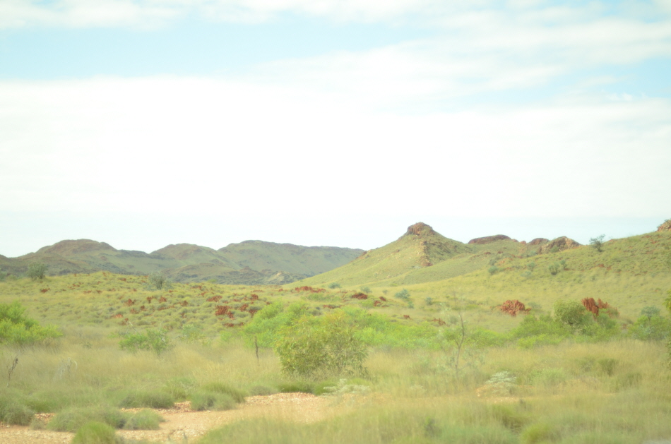 VTK_3379.JPG