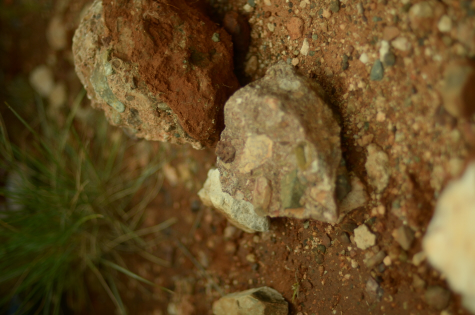 VTK_3239.JPG