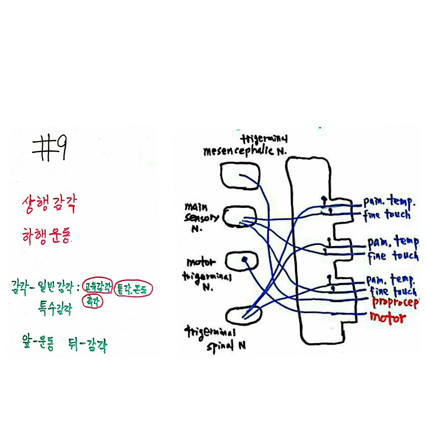 개념.jpeg