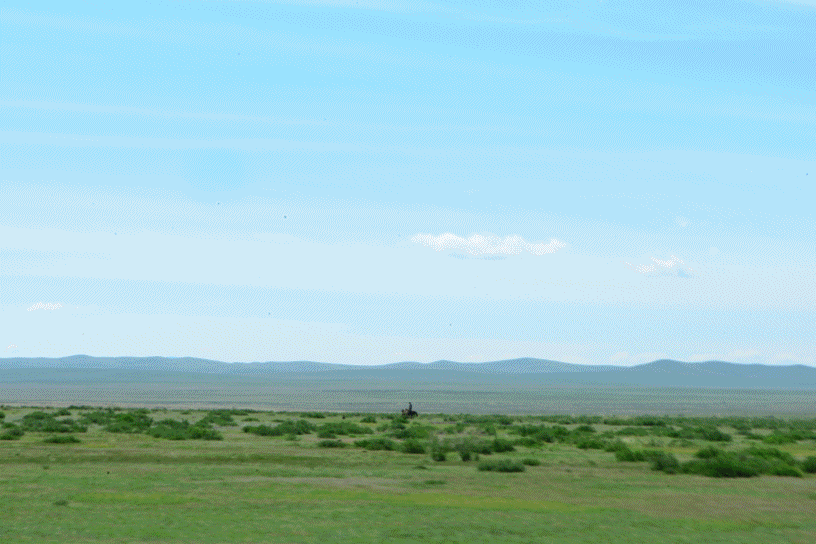 0812_사진Overview(02)102.gif
