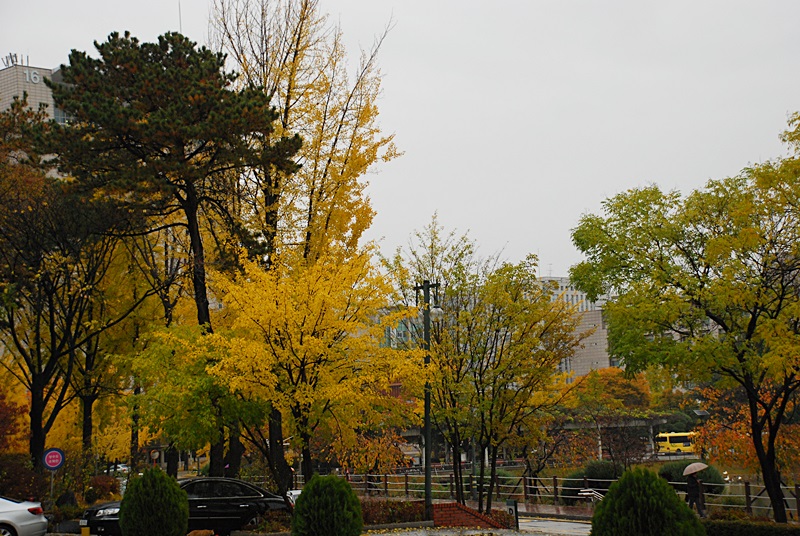 DSC_0540.JPG
