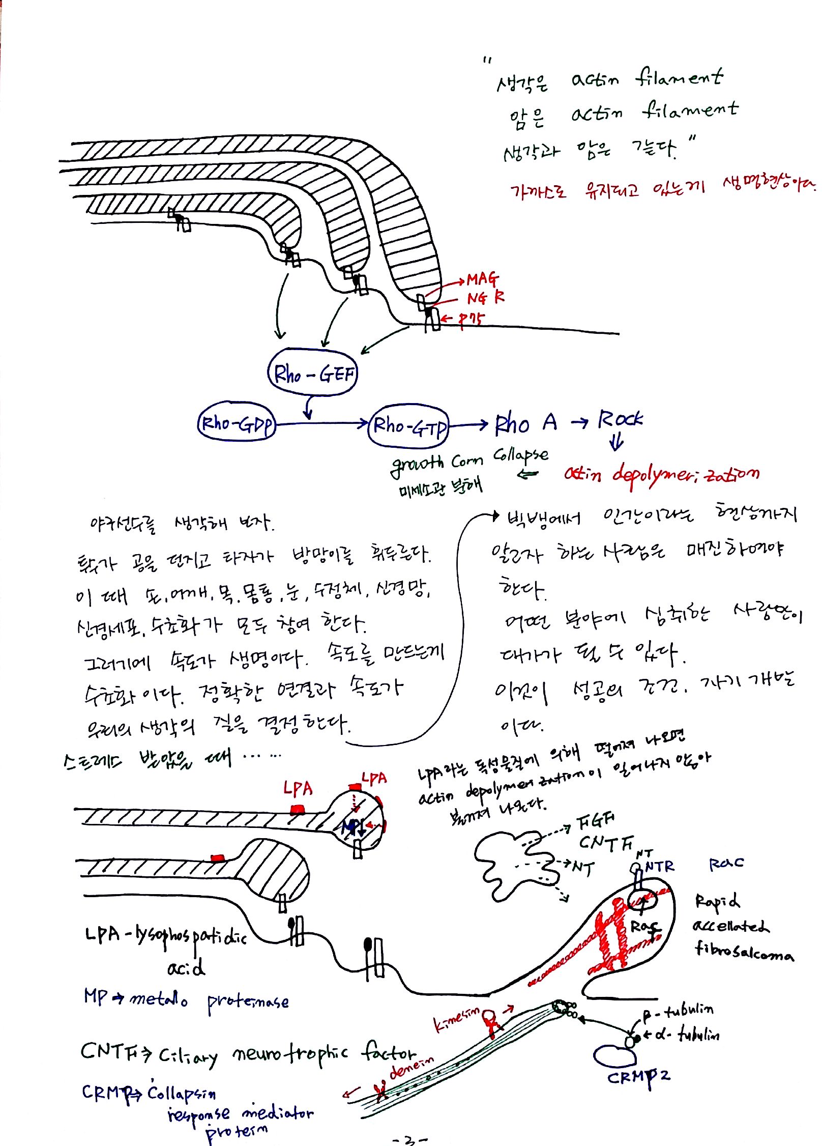 새 파일 29_3.jpg