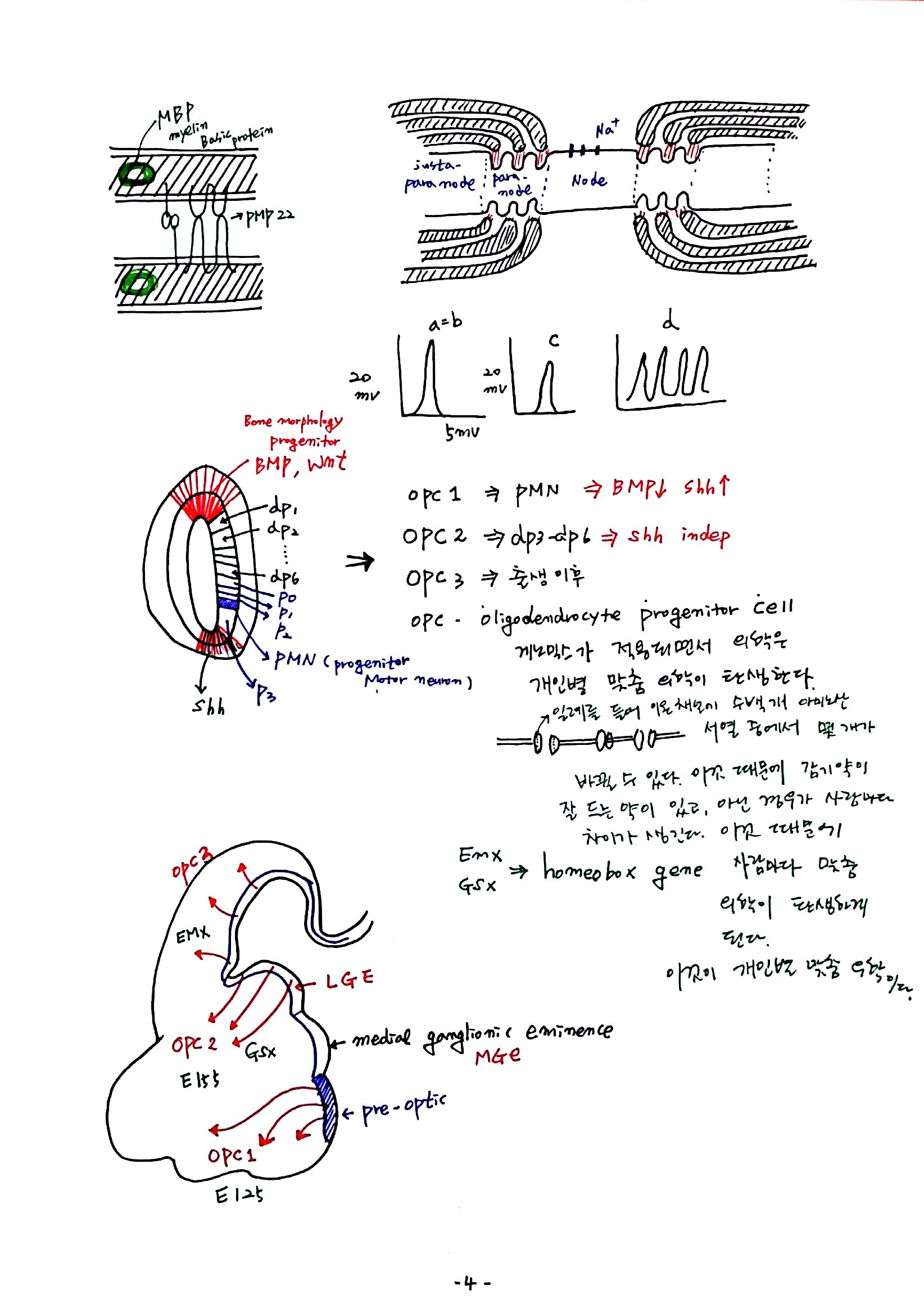 새 파일 29_4.jpg