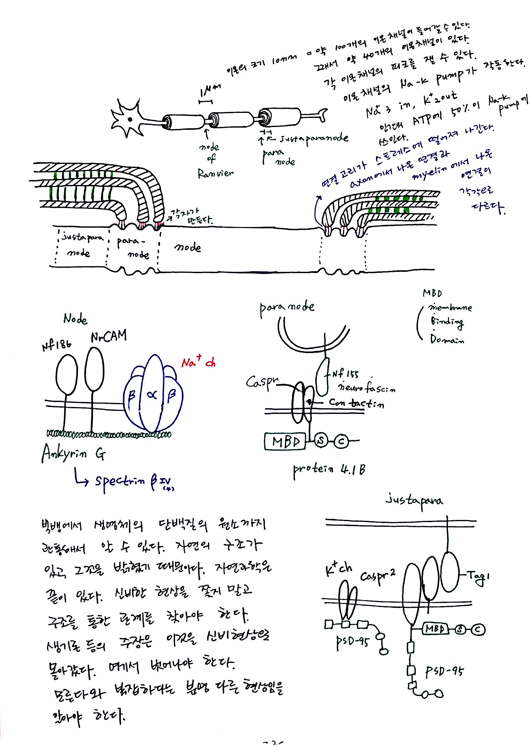 새 파일 29_2.jpg