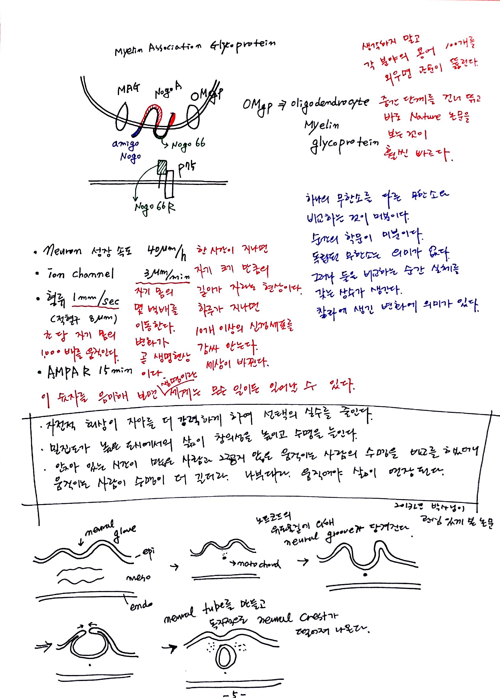 새 파일 29_5.jpg
