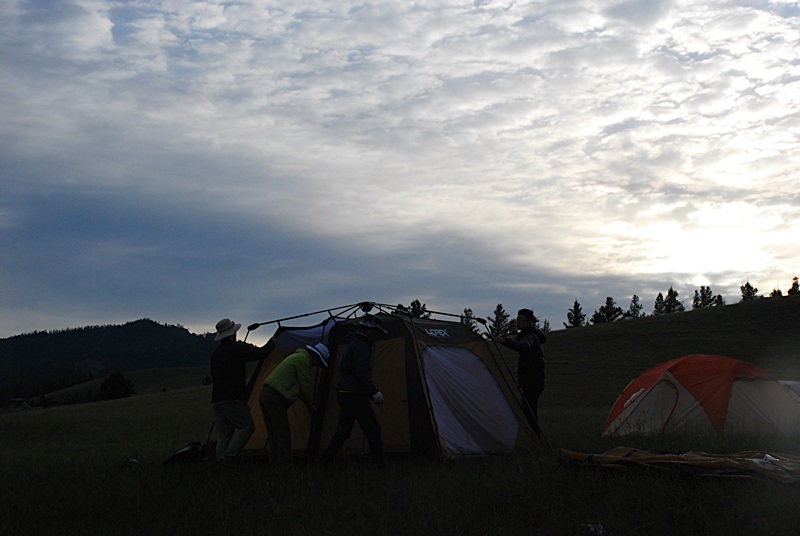 DSC_0884.JPG