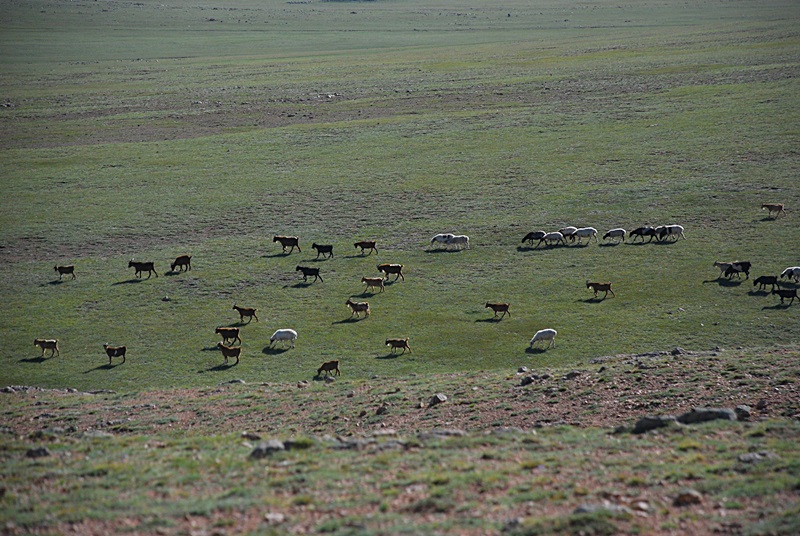 DSC_0247.JPG