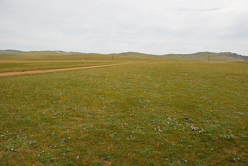 DSC_0979.JPG