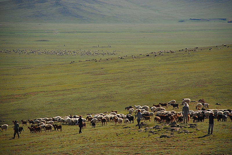 DSC_0240.JPG