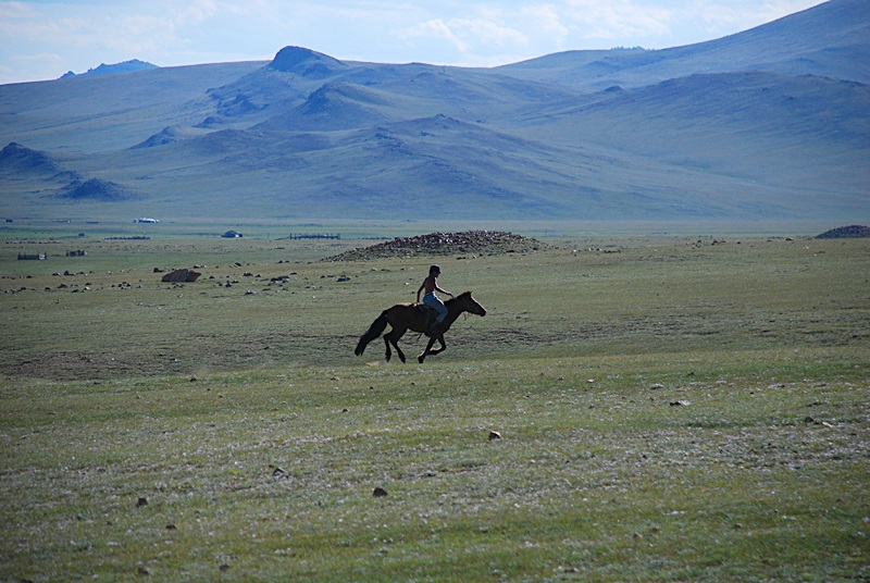 DSC_0254.JPG