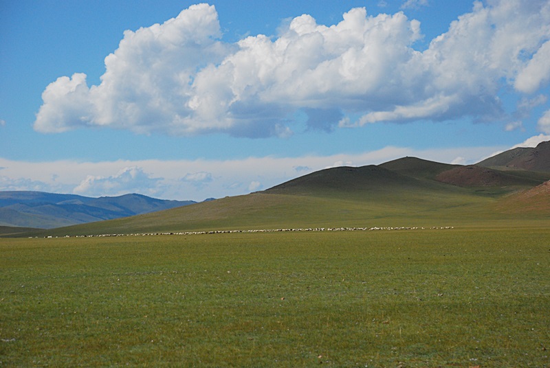 DSC_0136.JPG