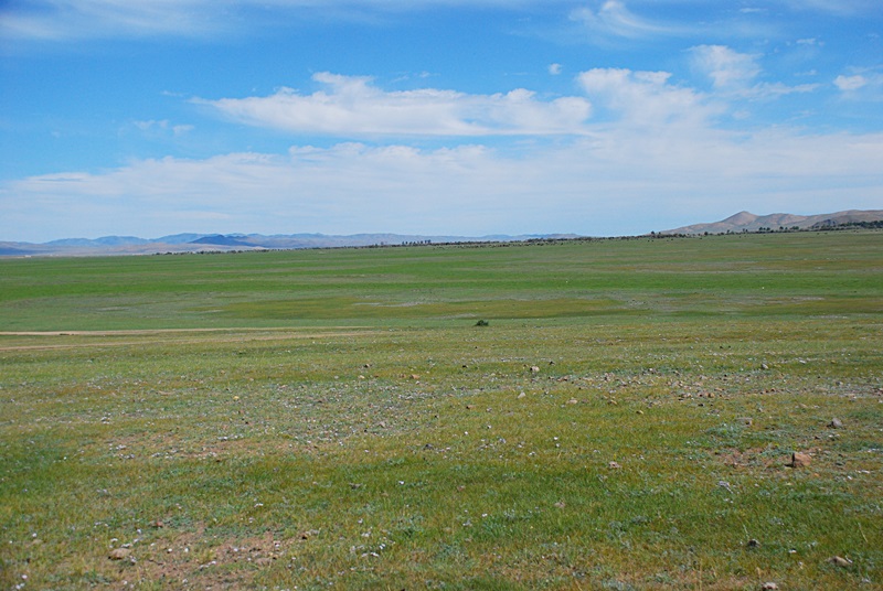 DSC_0092.JPG