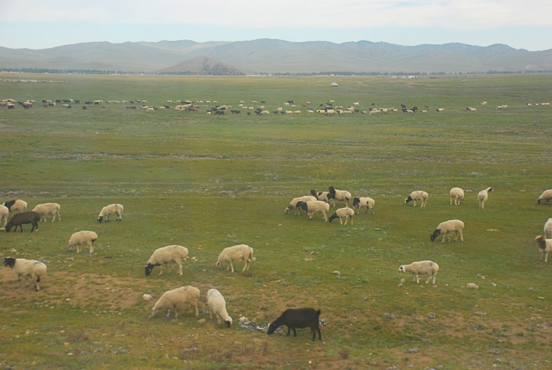 DSC_0965.JPG