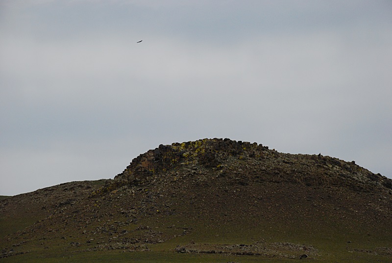 DSC_0038.JPG
