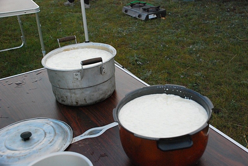 DSC_0268.JPG