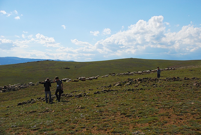 DSC_0233.JPG