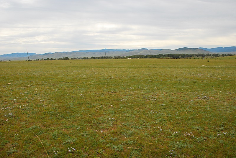 DSC_0980.JPG