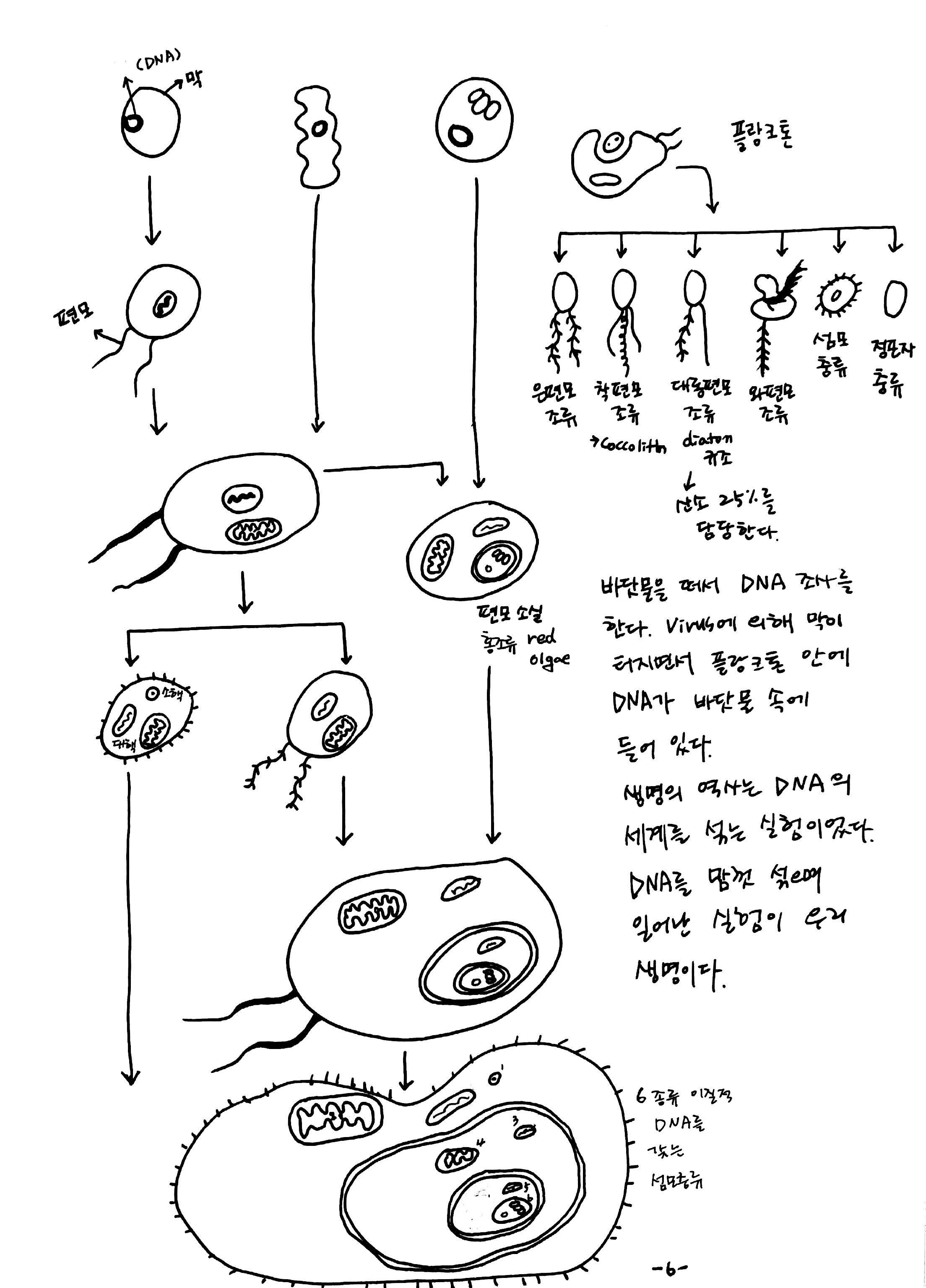 새 파일 8_6.jpg