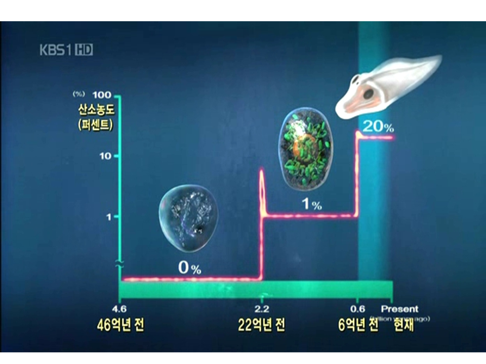 슬라이드14.PNG