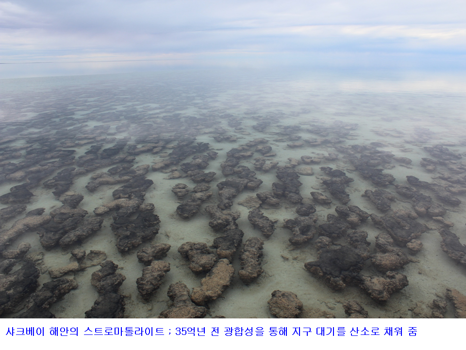 슬라이드13.PNG