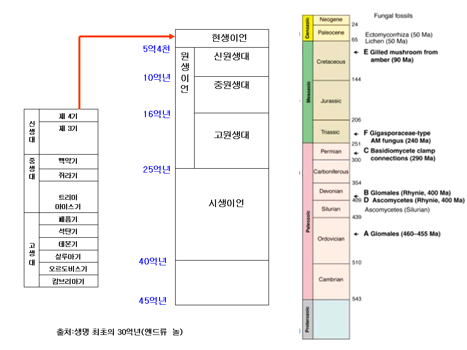 슬라이드46.PNG