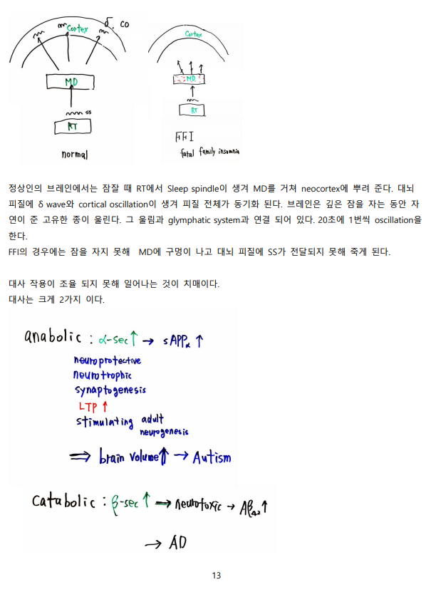 화면 캡처 2020-12-11 134244.png