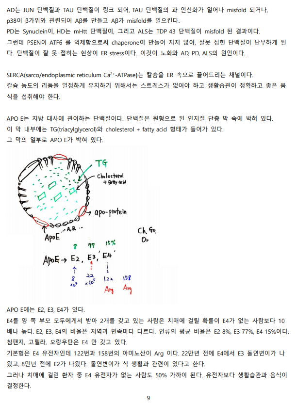화면 캡처 2020-12-11 133812.png