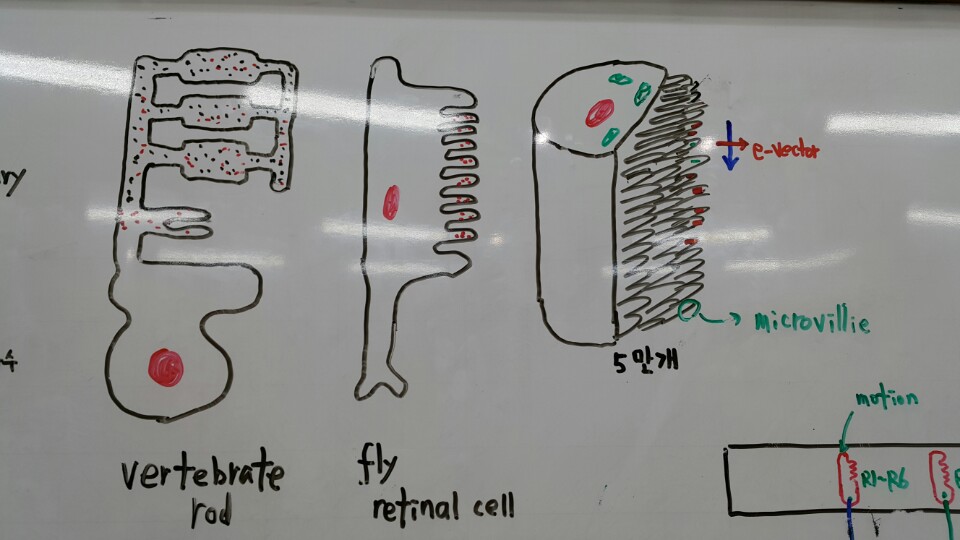 KakaoTalk_20151004_192311217.jpg