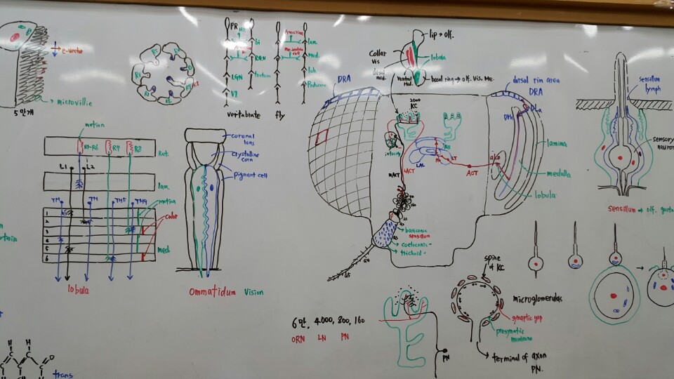 KakaoTalk_20151004_192309000.jpg