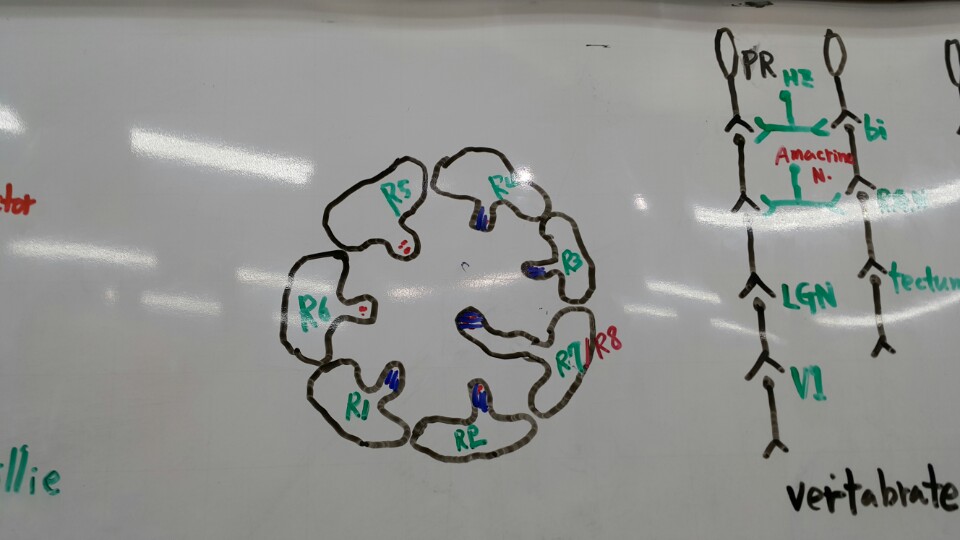 KakaoTalk_20151004_192311723.jpg
