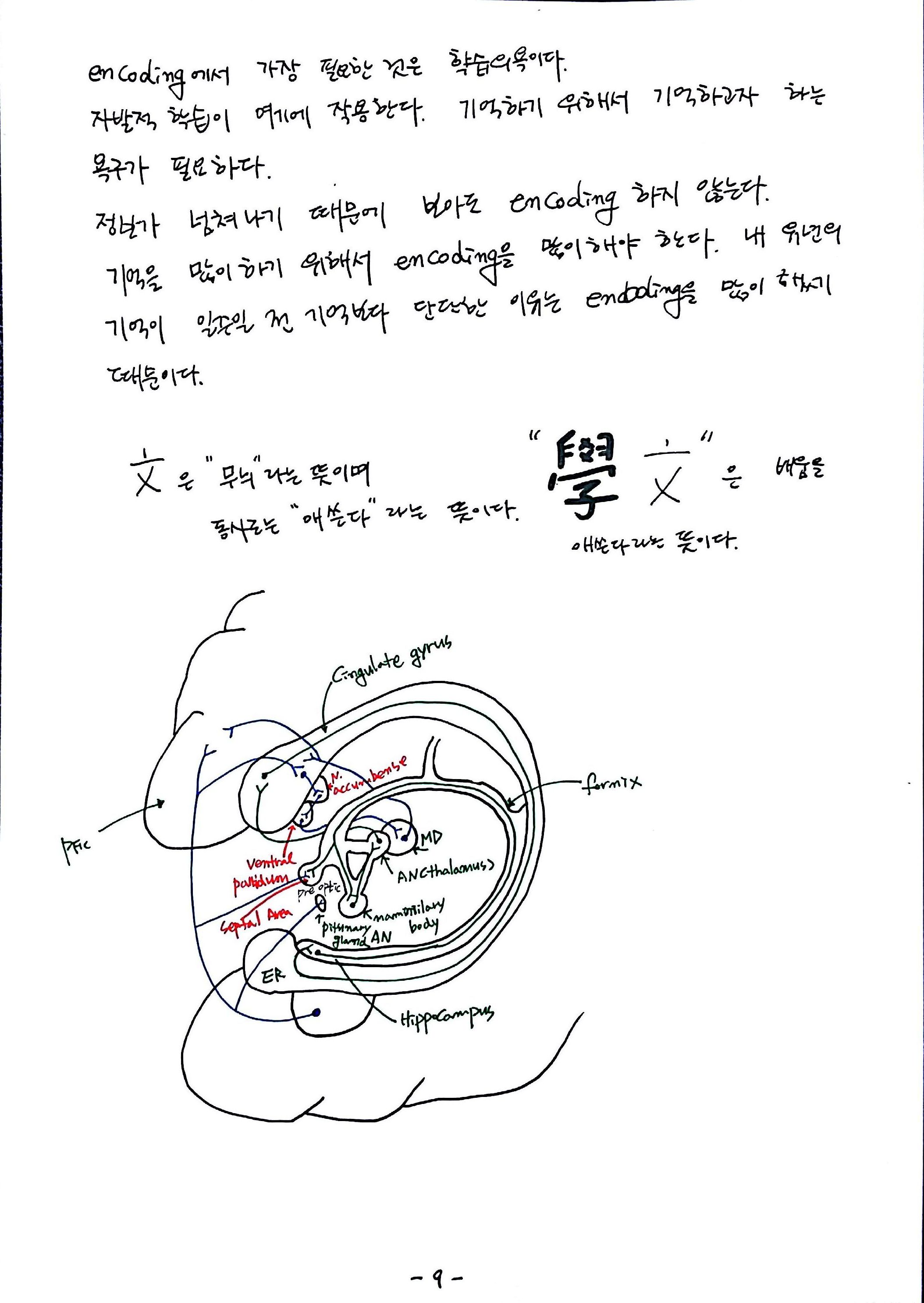 제 6회 특별한 뇌과학 노트 7강 기억 (9).jpg