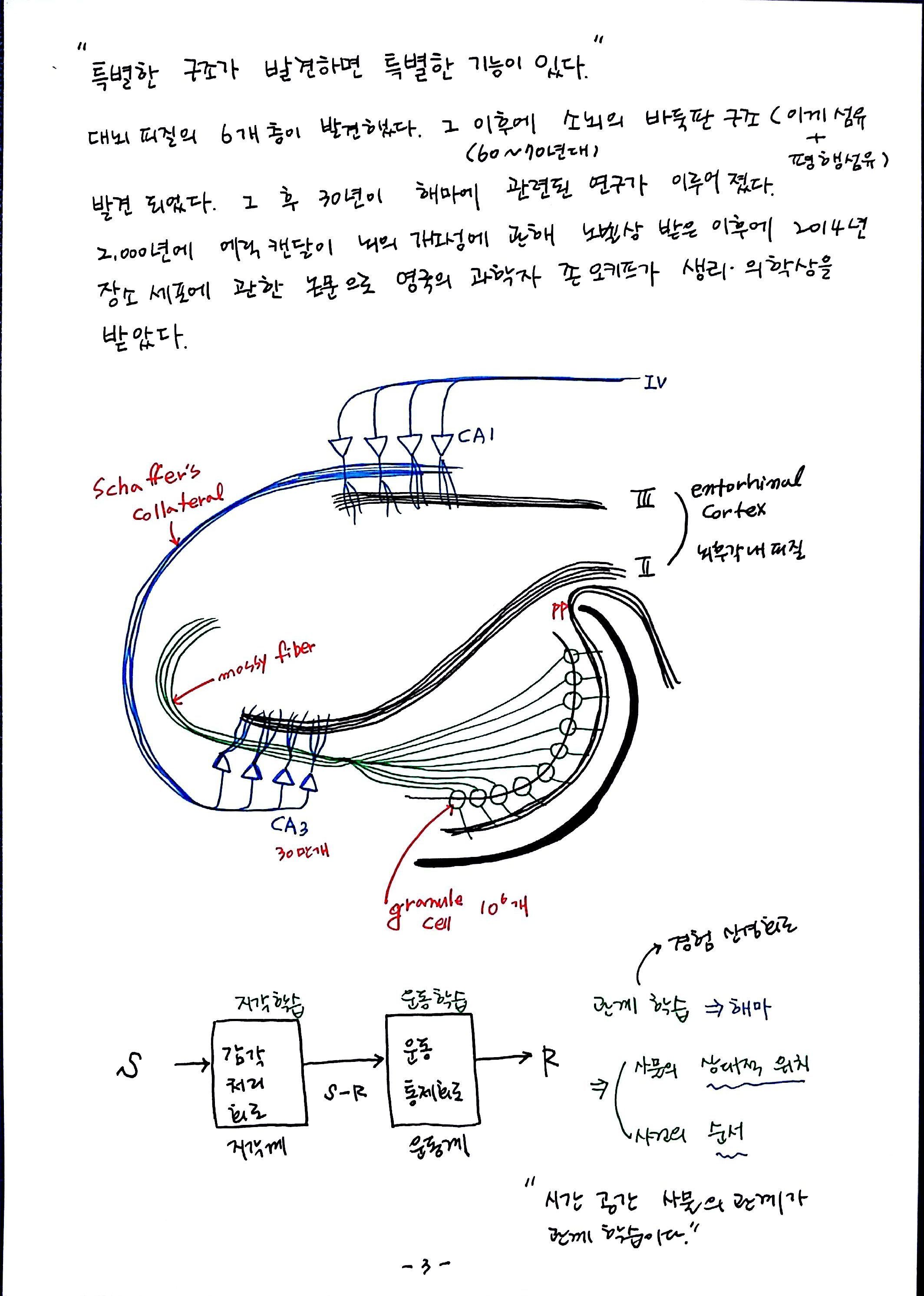 제 6회 특별한 뇌과학 노트 7강 기억 (3).jpg