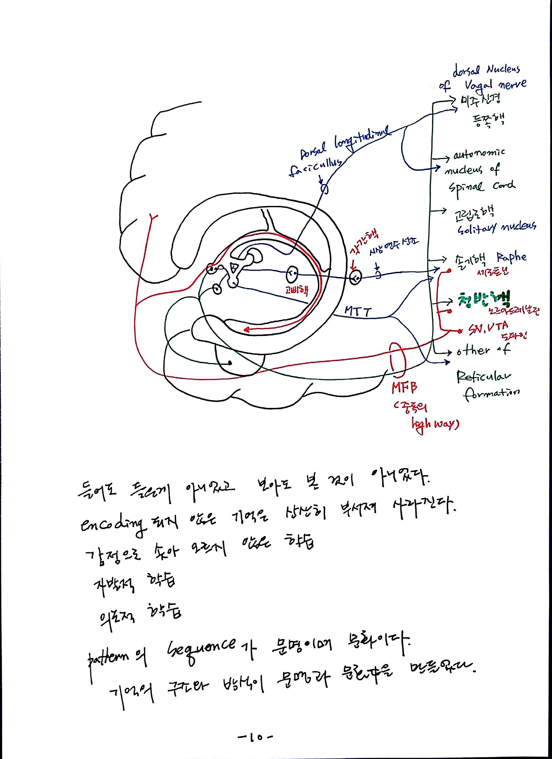 제 6회 특별한 뇌과학 노트 7강 기억 (10).jpg
