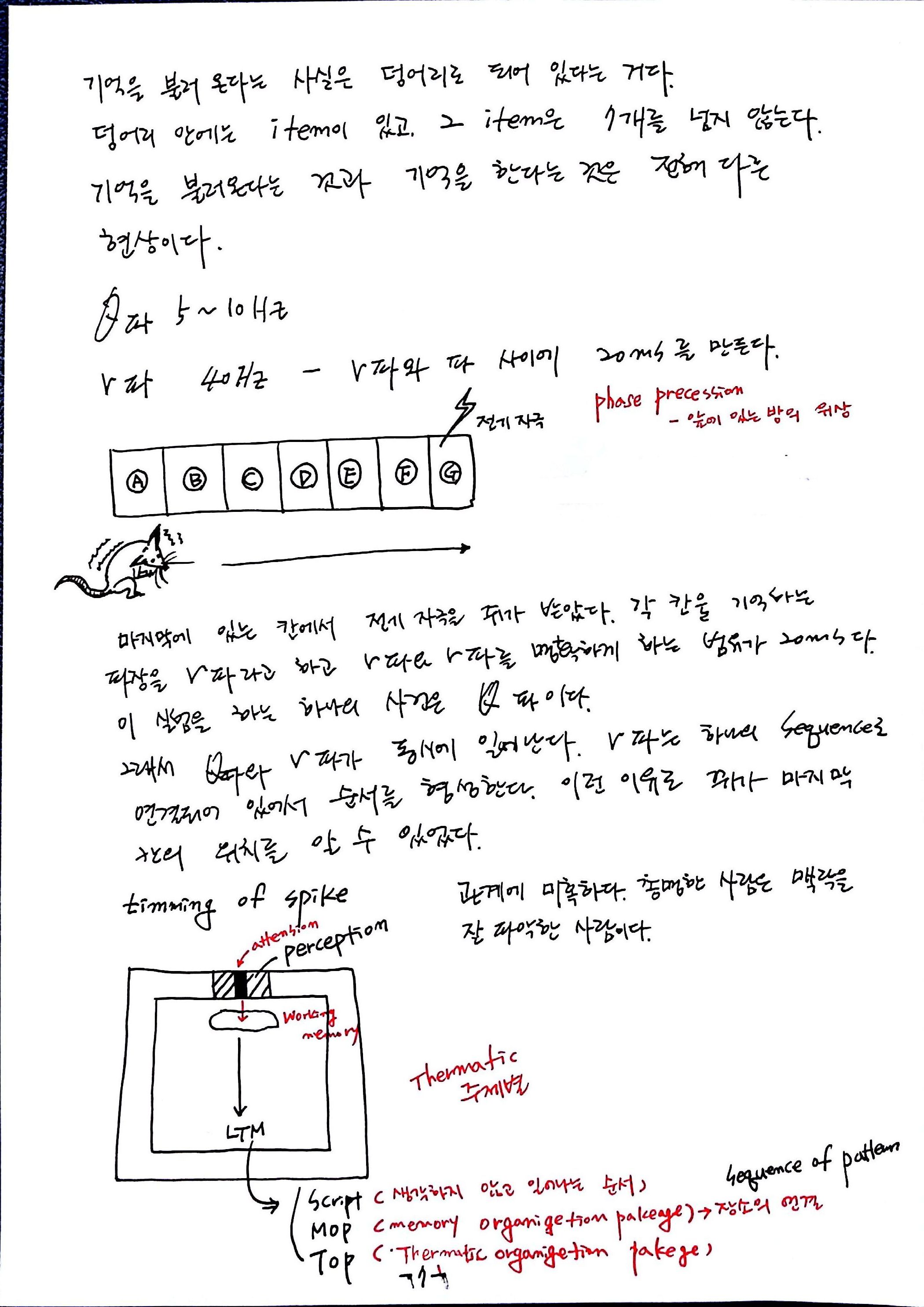 제 6회 특별한 뇌과학 노트 7강 기억 (7).jpg