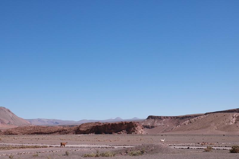 2934-20171226-204726.JPG