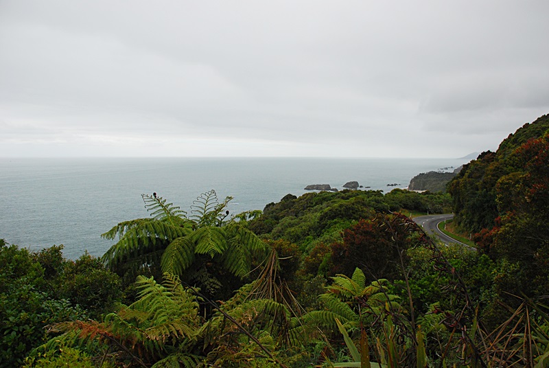 DSC_0174.JPG