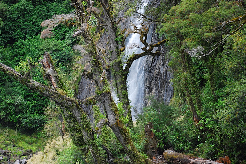 DSC_0300.JPG