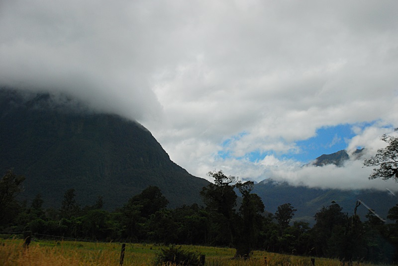 DSC_0196.JPG