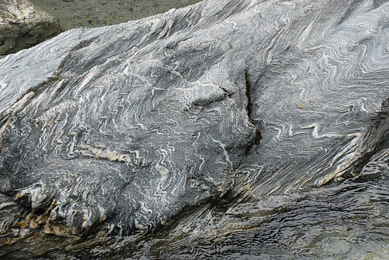 DSC_0295.JPG