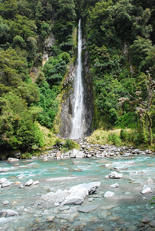 DSC_0264.JPG