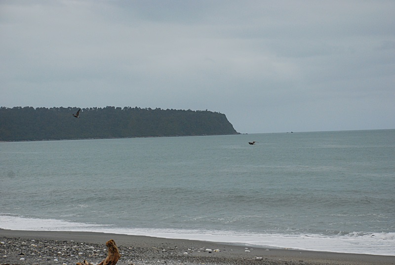 DSC_0147.JPG