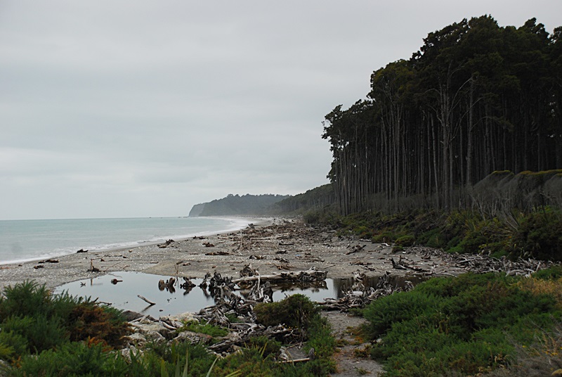DSC_0150.JPG