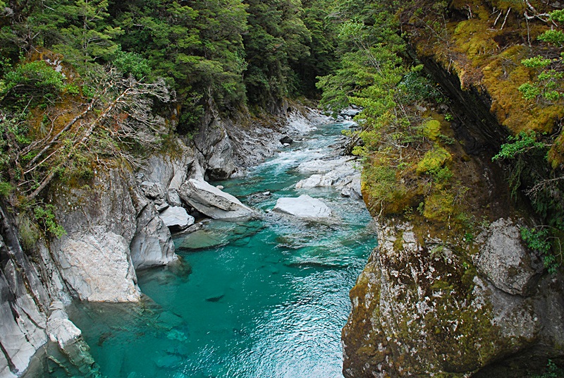 DSC_0330.JPG