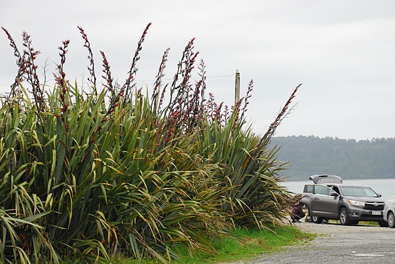 DSC_0156.JPG