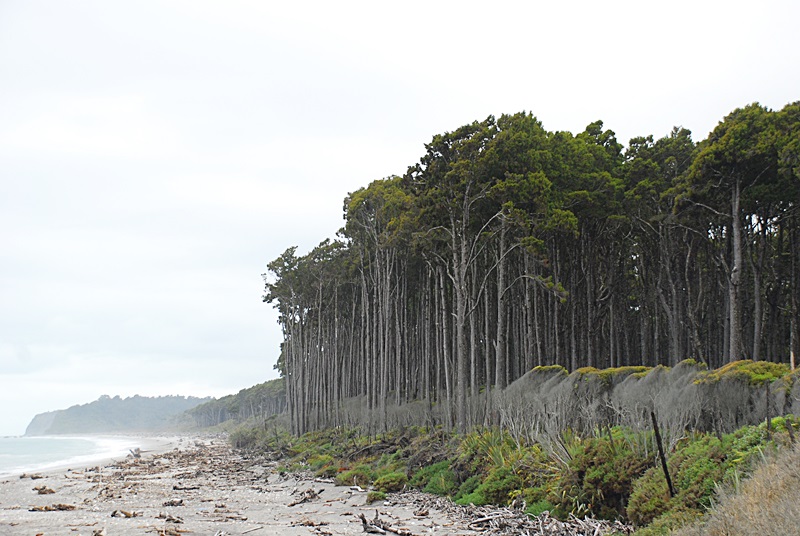 DSC_0151.JPG