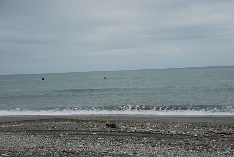 DSC_0146.JPG