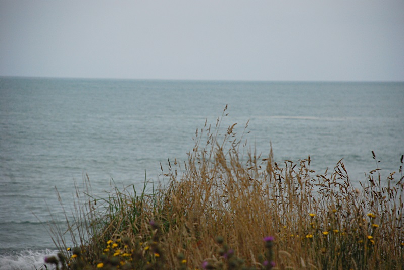 DSC_0155.JPG