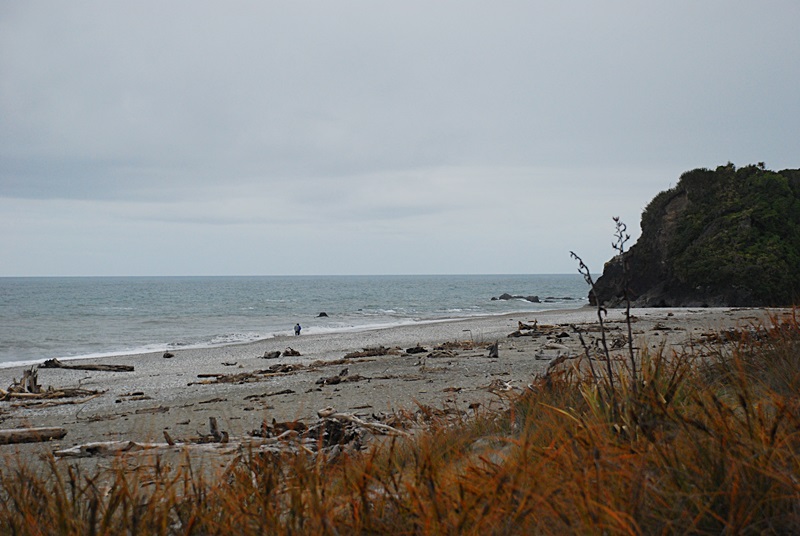 DSC_0185.JPG