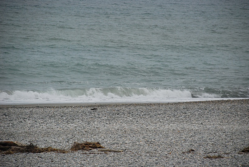 DSC_0187.JPG