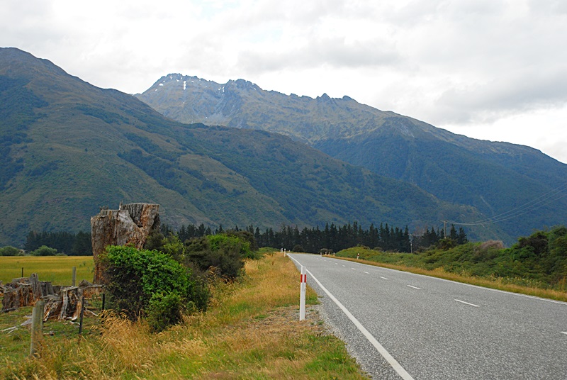 DSC_0374.JPG